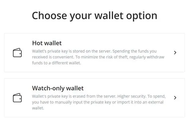 BTCPay Server screen Choose your wallet option: Hot wallet, where the private key is stored on the server, and Watch-only wallet, where the private key is erased from the server